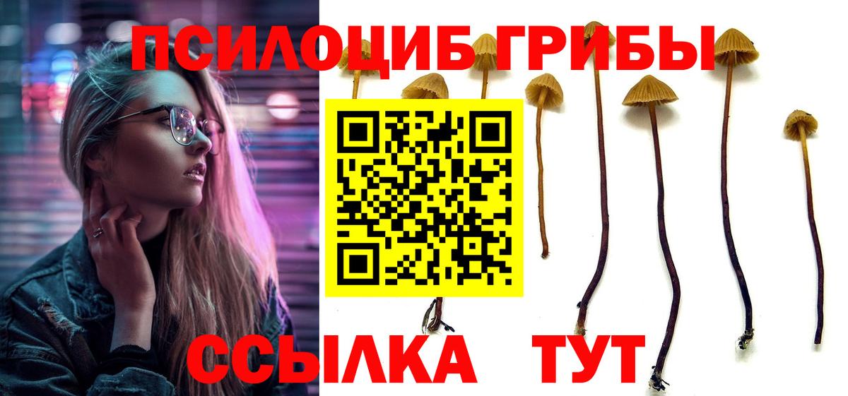 Псилоцибиновые грибы MAGIC MUSHROOMS  что такое наркотик  Нижний Новгород  Вход с VPN 